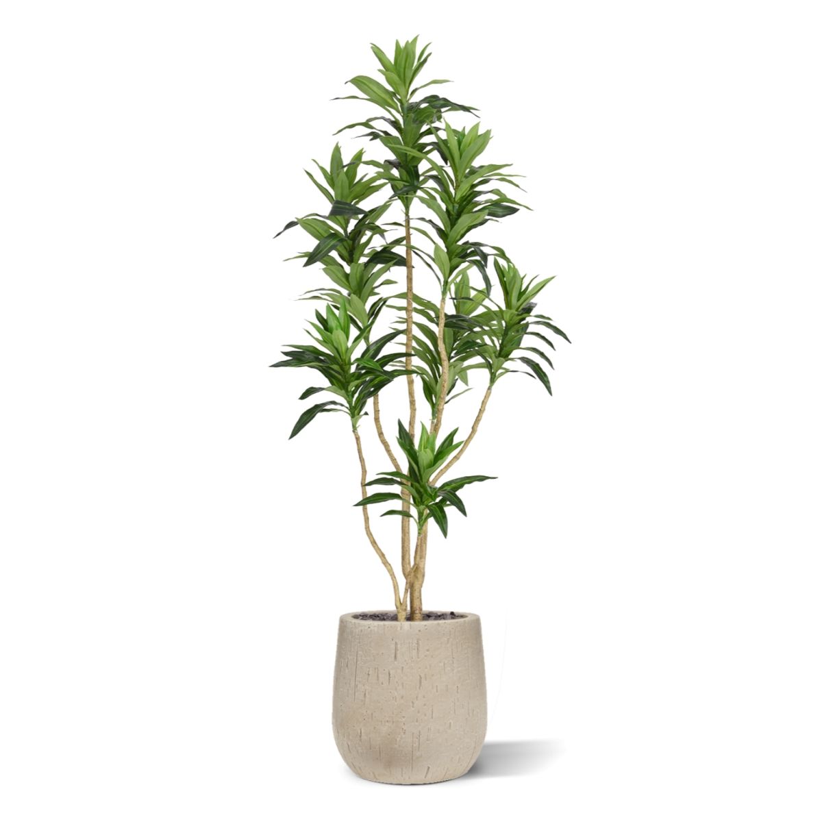 Draceana Reflexa Kunstplant groen 120cm RT