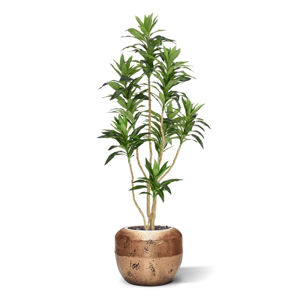 Draceana Reflexa Kunstplant groen 120cm RT