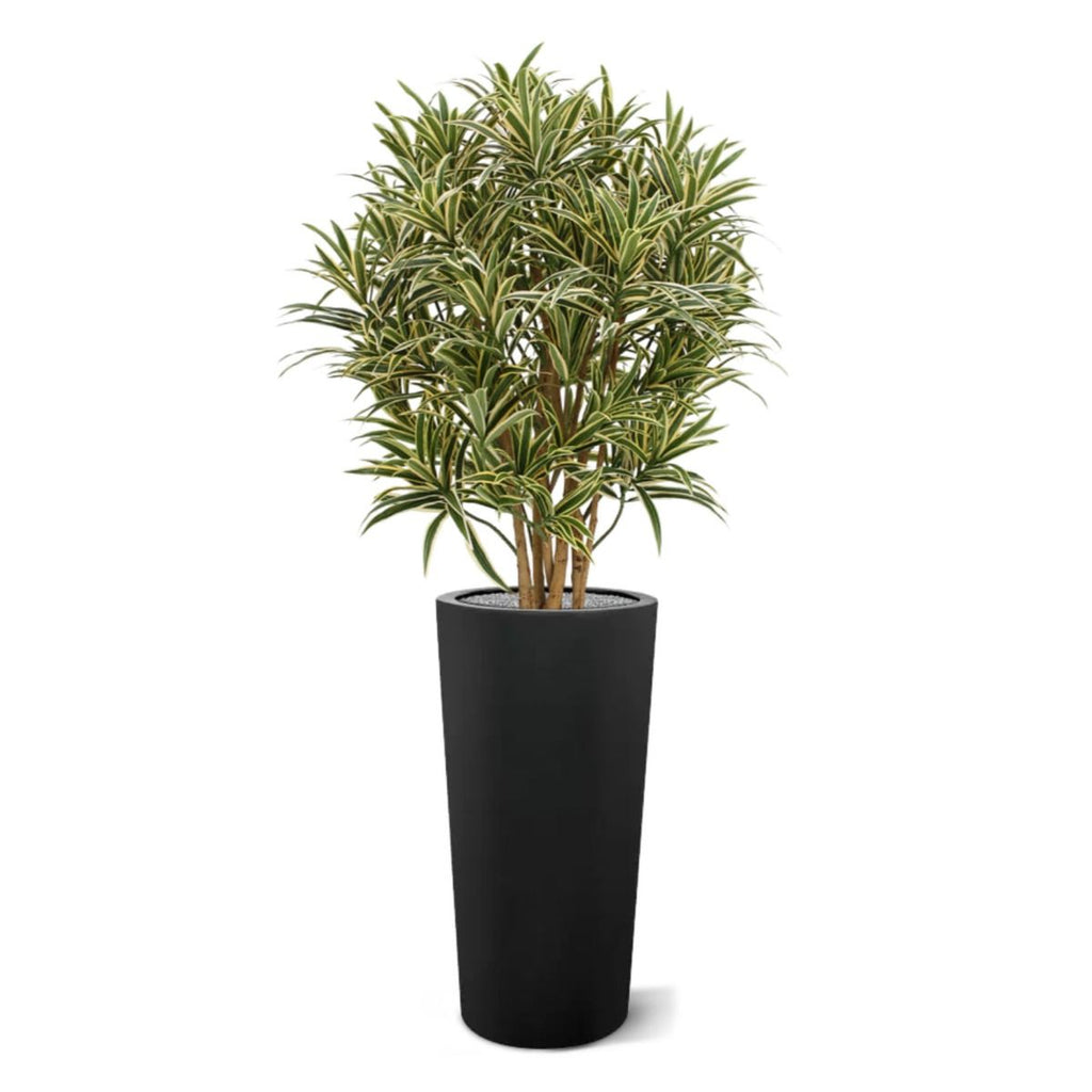 Draceana Reflexa kunstplant 100cm