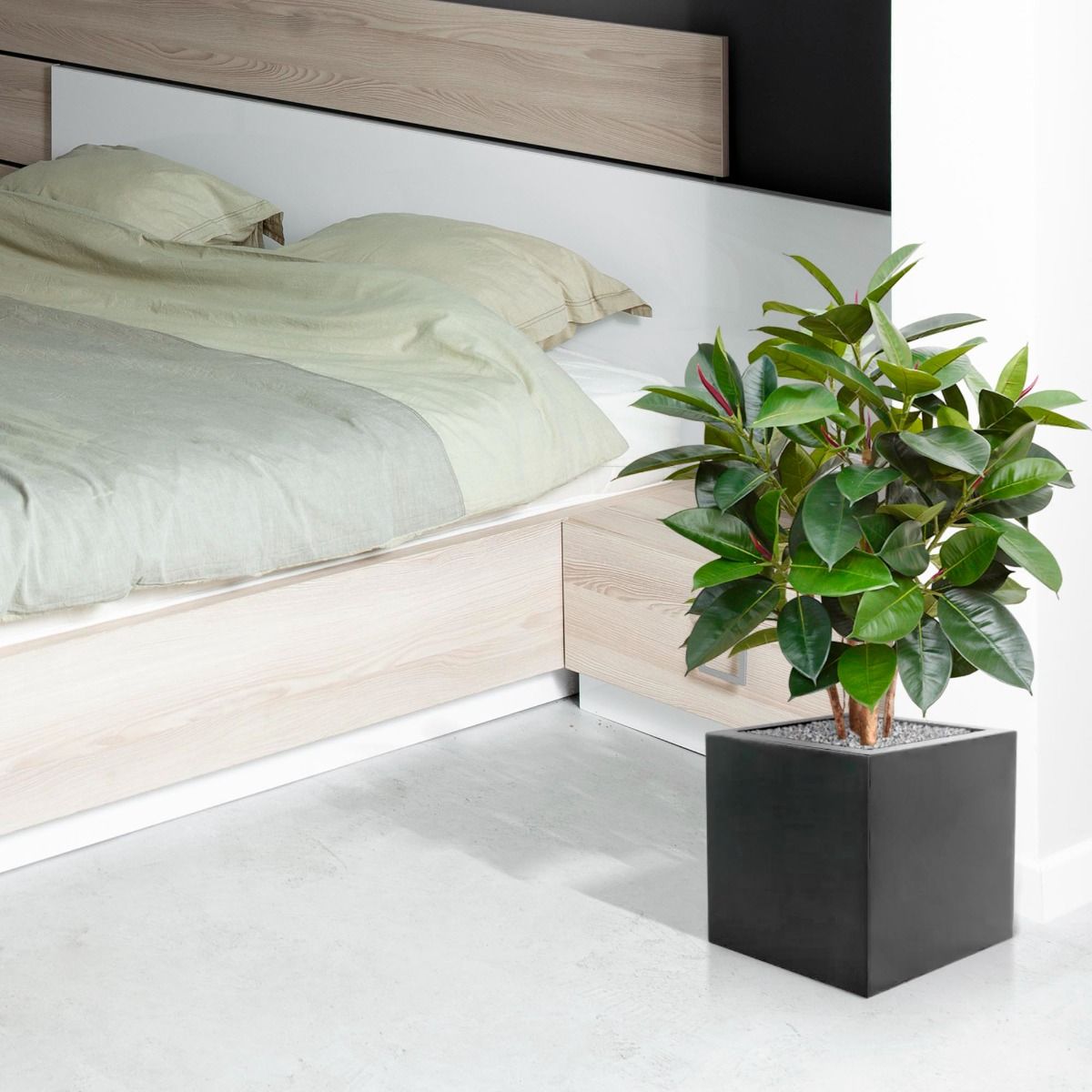 Elastica Robusta kunstplant 90cm - FR - brandvertragend