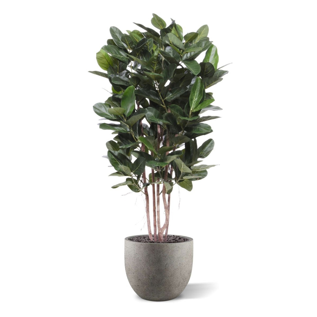 Ficus Audrey kolom Kunstplant Deluxe 155cm