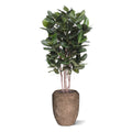 Ficus Audrey kolom Kunstplant Deluxe 155cm