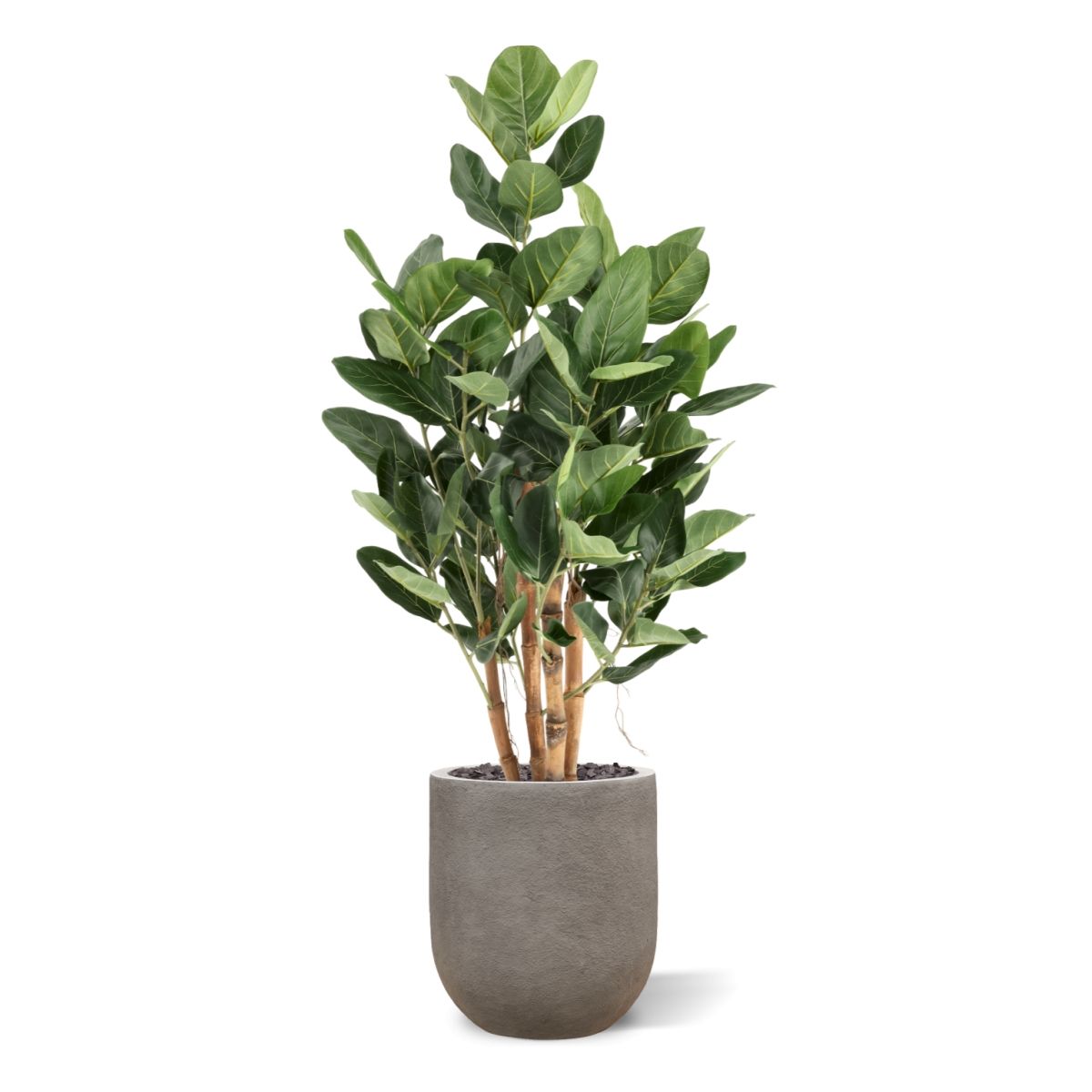 Ficus Audrey Kunstboom Deluxe 120cm