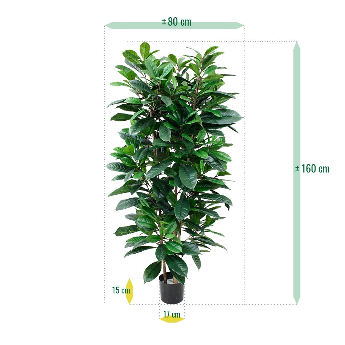 Ficus Cyathistipula deluxe kunstplant 120cm