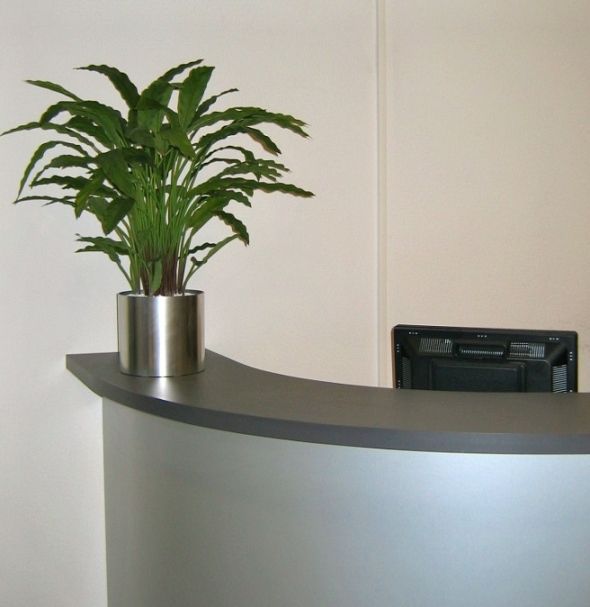 Calathea kunstplant 85cm - groen