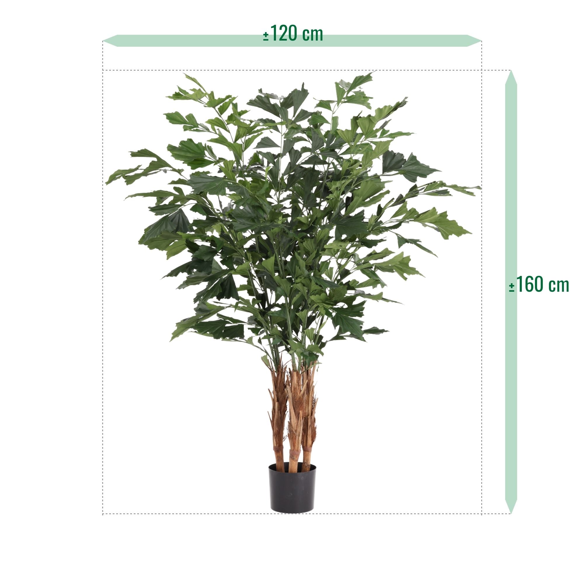 Fishtail Kunstpalm Deluxe 160cm