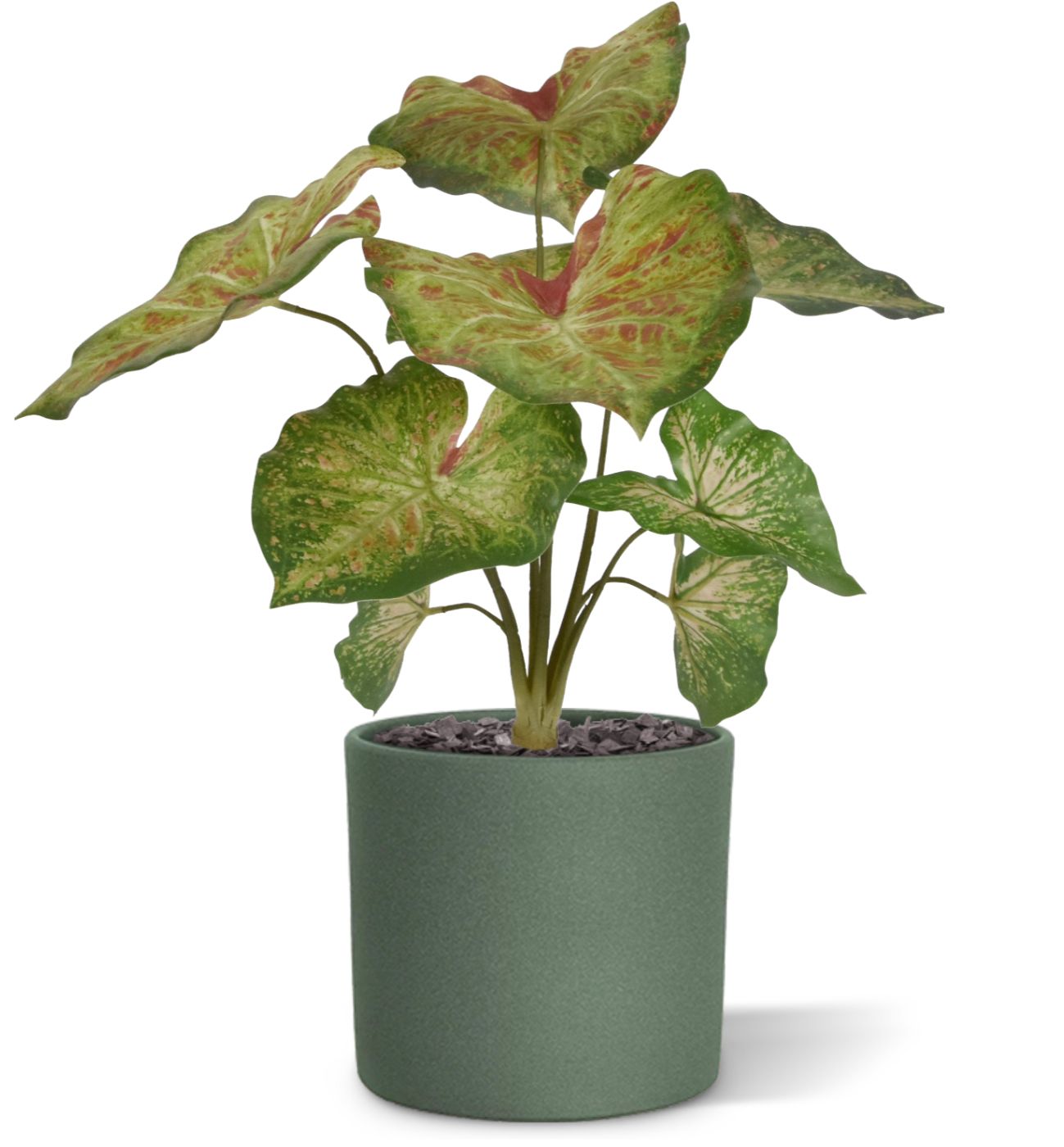 Caladium raspberry kunstplant 40cm zonder kweekpotje
