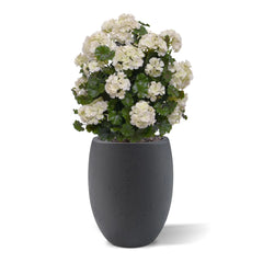Geraniumbol kunstplant 70cm UV crèmewit 