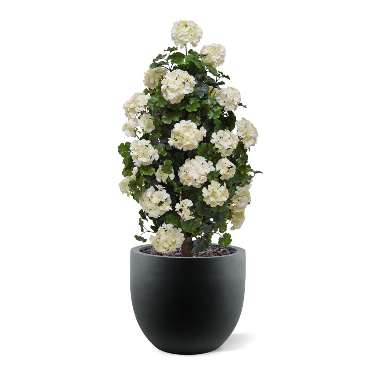Geraniumkunst 110 cm piramideplant UV crèmewit