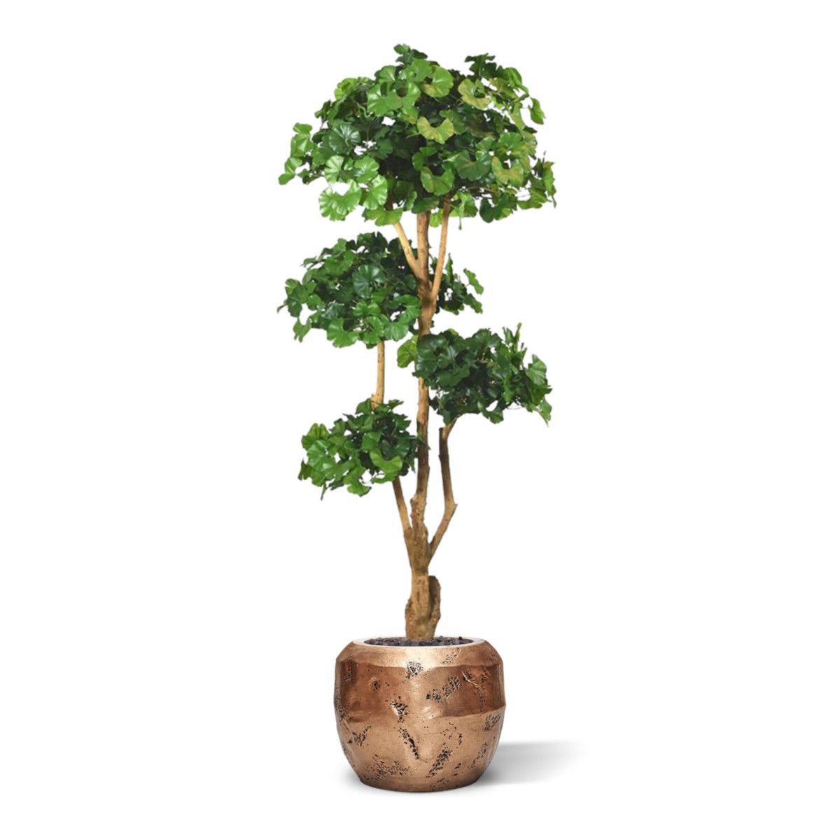 Ginkgo Bonsai deluxe kunstboom 170cm