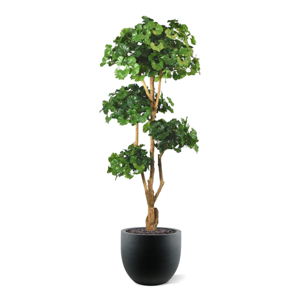Ginkgo Bonsai deluxe kunstboom 170cm