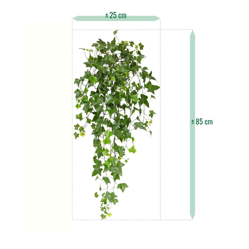 Hedera kunst hangplant 80cm - UV bestendig