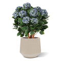 Blauwe kunsthortensia voor buiten met stelen van 80 cm, UV-bestendig.