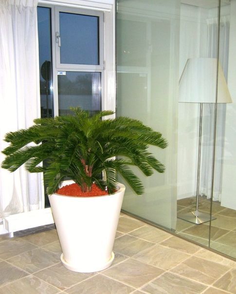 Cycas deluxe kunstpalm 125cm