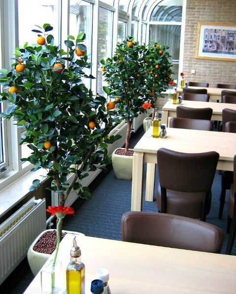 Sinaasappel kunstboom deluxe 150cm