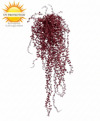 Buitenhangplant Callisia burgundy UV-bestendig 