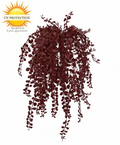 Hangplant voor buiten: Dischidia burgundy, UV-bestendig