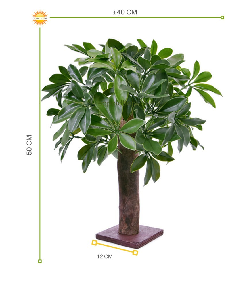 Schefflera kunstplant op mini stam 50 cm UV 