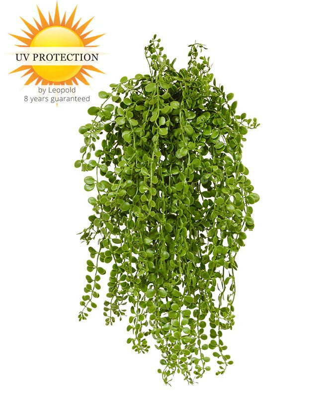 Dischidia nummularia kunst hangplant 40cm UV