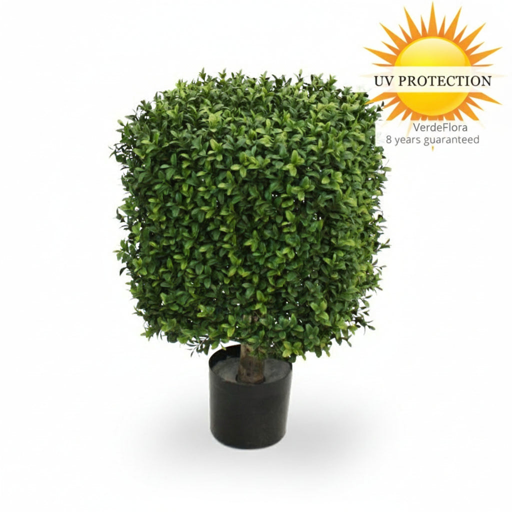 Buitenkunst Buxus Kubus 30 cm UV-bescherming