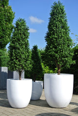 Kunst Buxus piramideboom voor buiten 110 cm UV-bescherming 