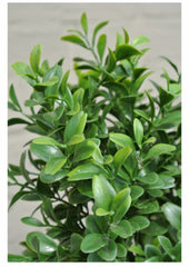 Kunst Buxus Piramide voor buiten 140 cm UV beschermd