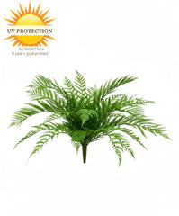 Fern plant with UV Protection logo and text on a white background