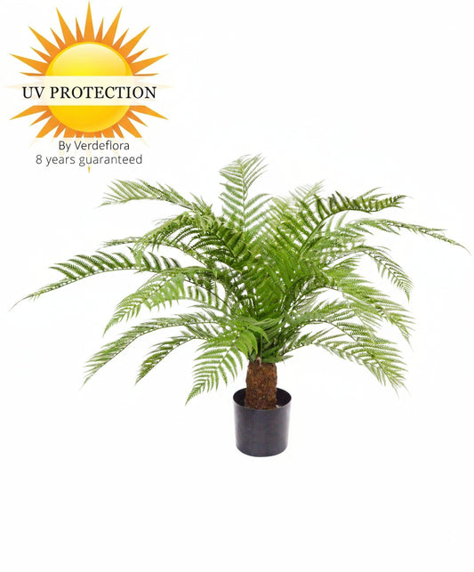 Potted plant with UV protection label on a white background
