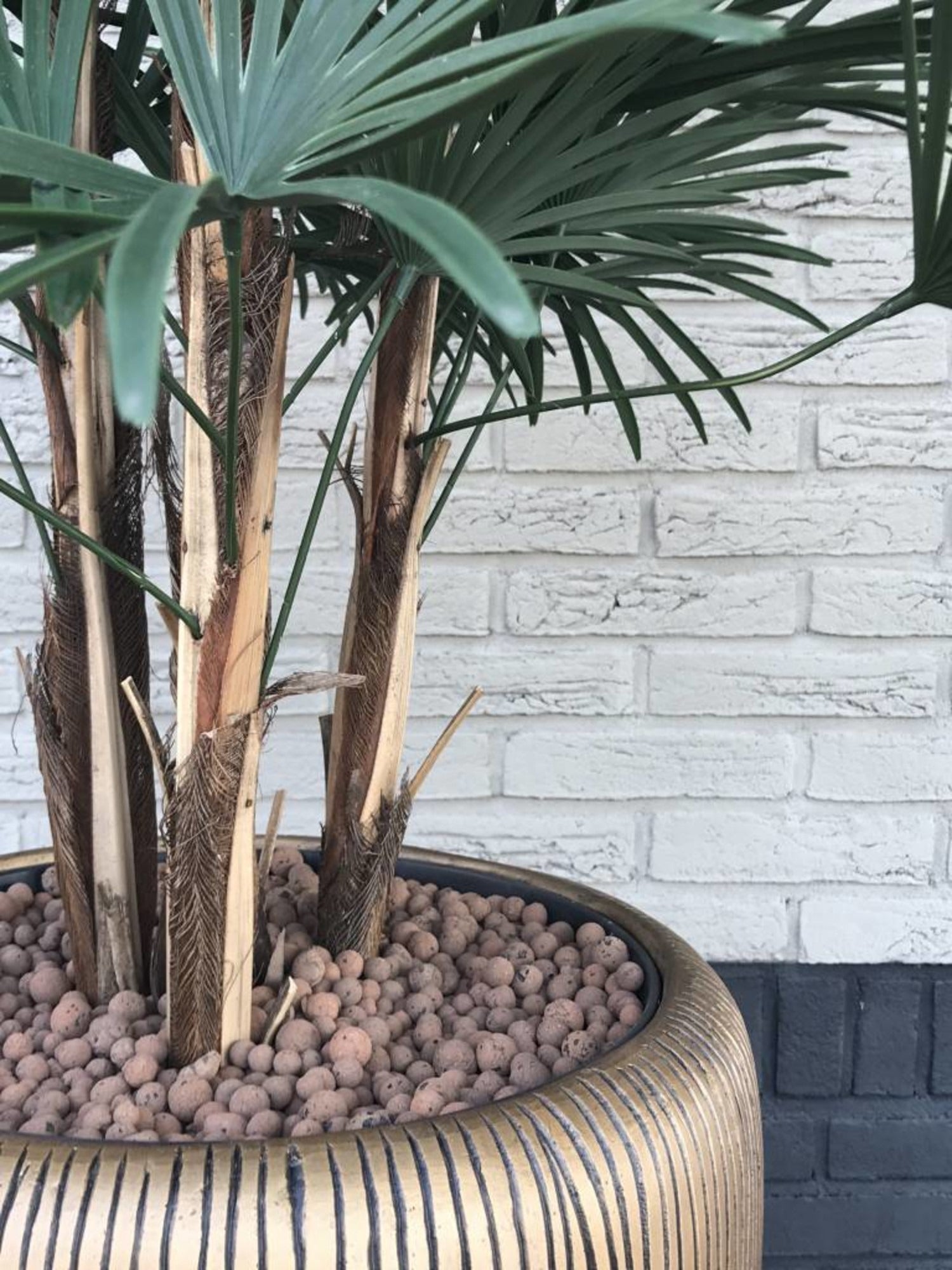 Kunst palm Raphis 110 cm UV voor buiten 