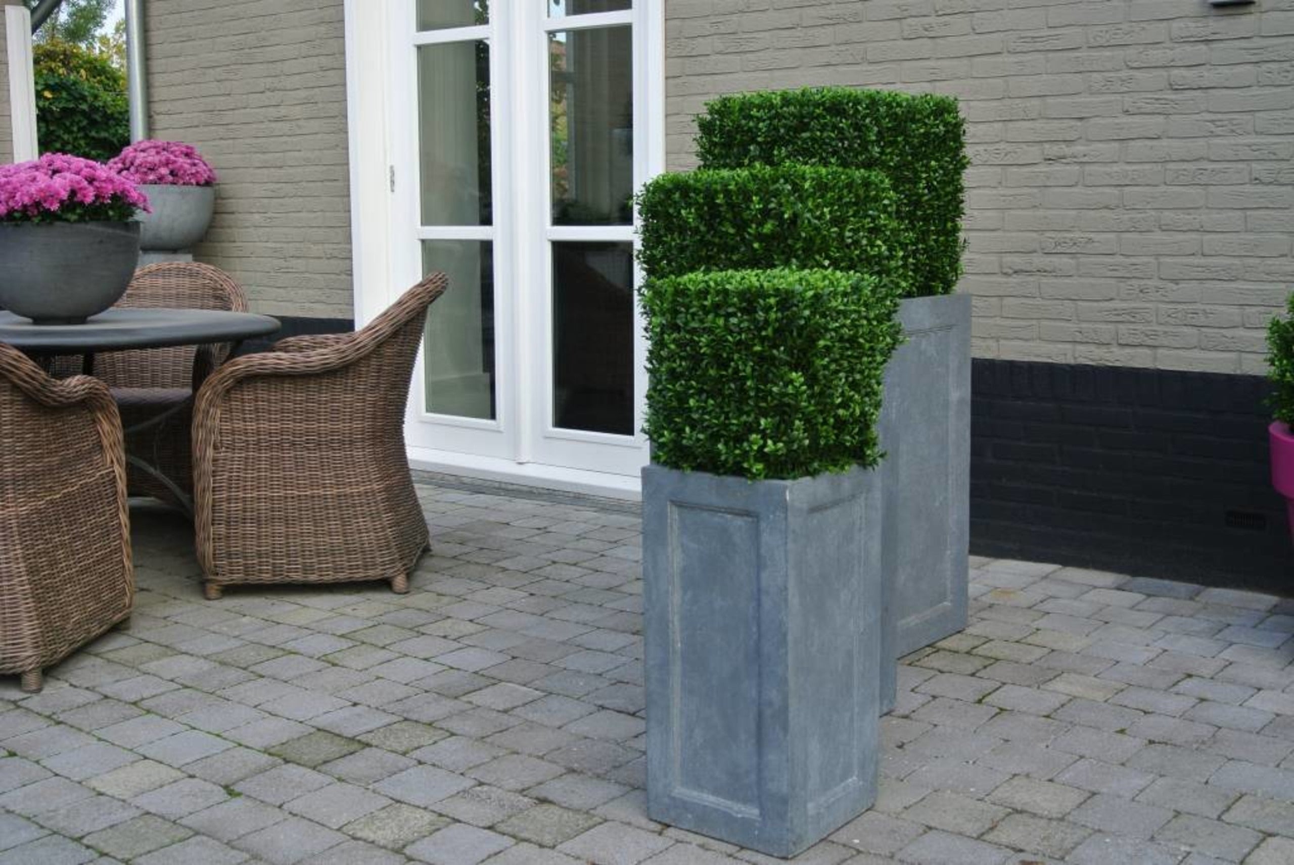 Kunst Buxus