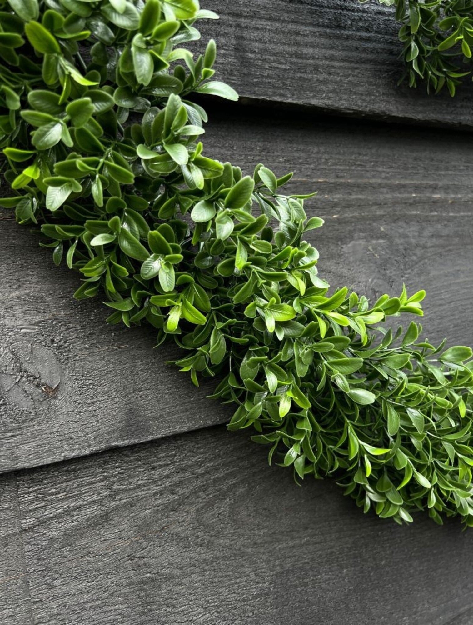 Buxus Guirlande voor buitengebruik, 180 cm, UV-bescherming