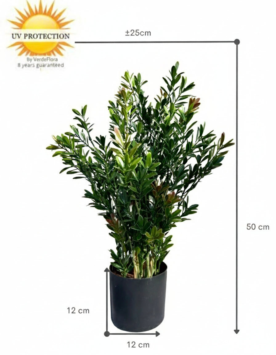 Kunst Buxusstruik voor buiten 50cm UV 