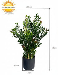 Kunst Buxusstruik voor buiten 50cm UV 