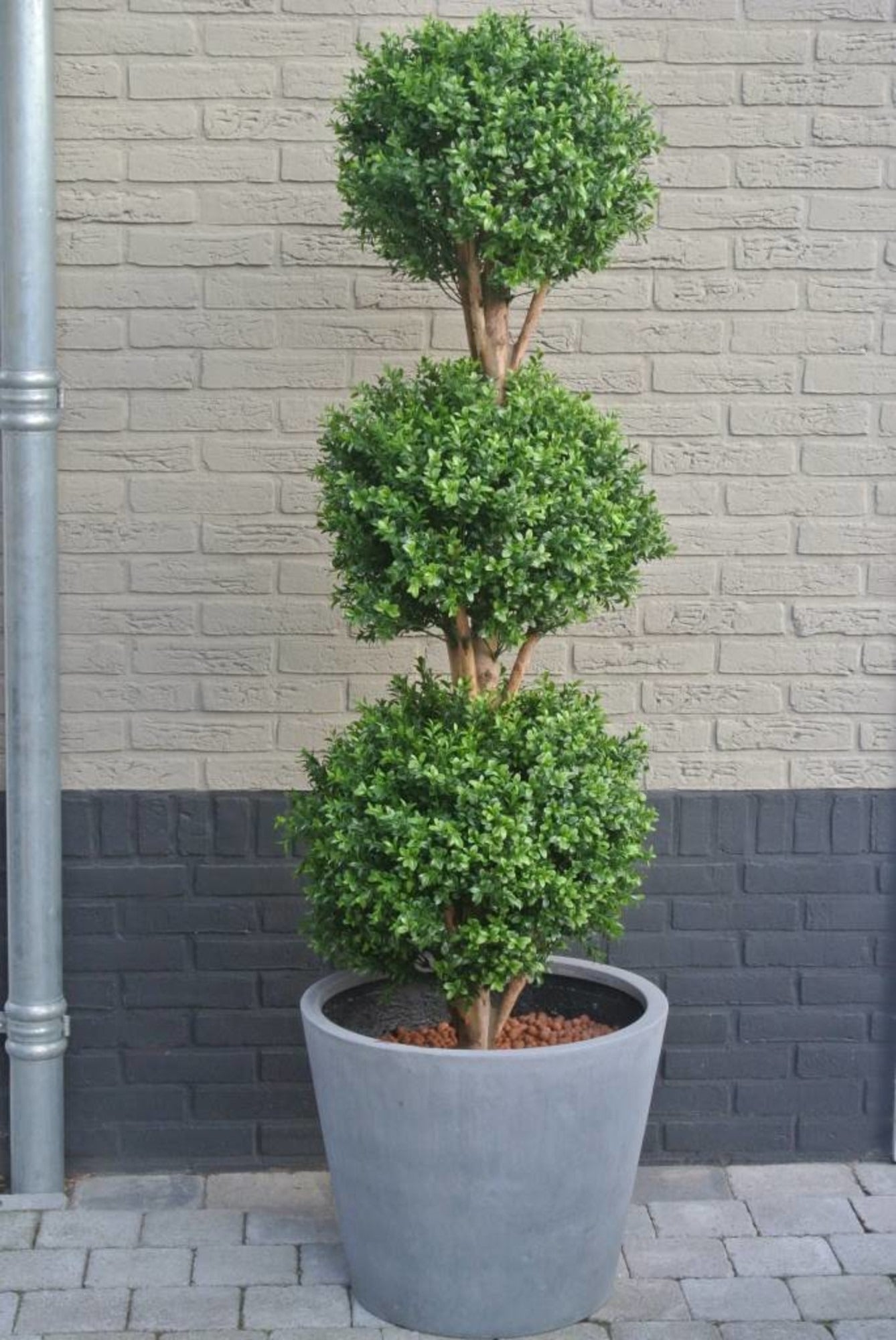Kunst buxus Trio bol 175 cm voor buiten UV-bescherming 
