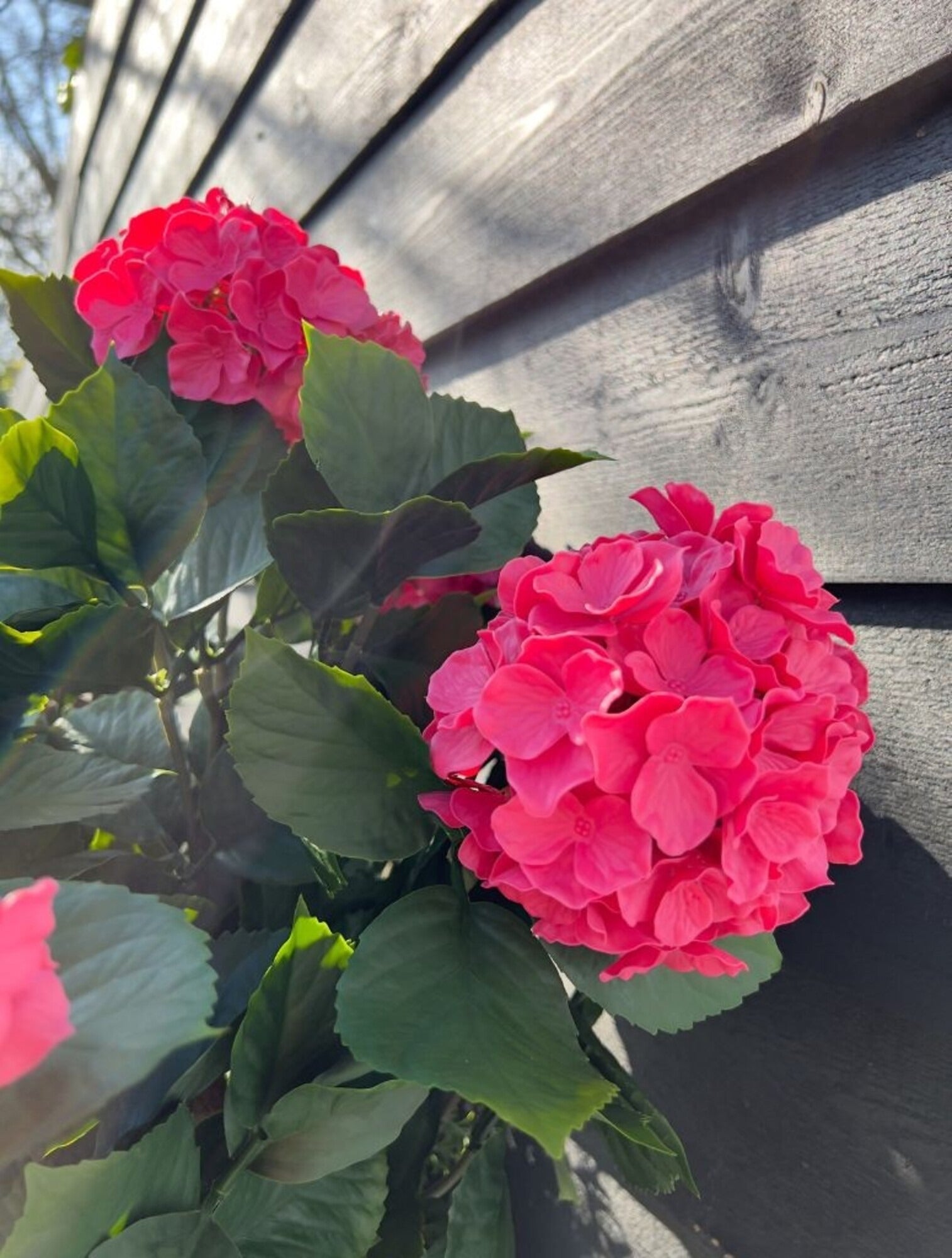 Kunst hortensia voor buiten roze met stengels 80cm UV 