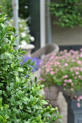 Kunst Buxusbol voor buiten 60 cm UV beschermd 