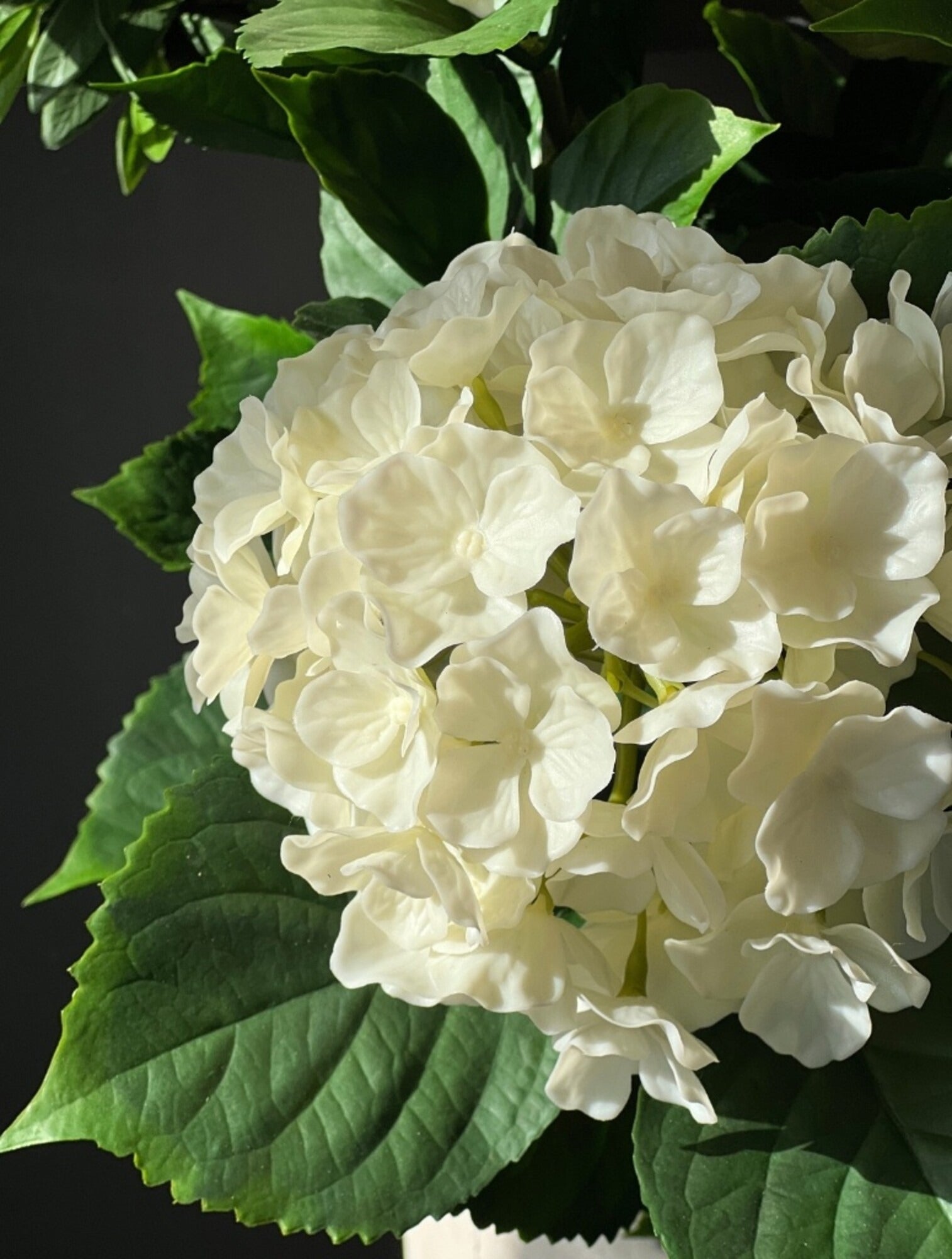 Out Art Hortensia wit 65 cm met UV-bescherming