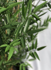 Kunst bamboe voor buiten 60 cm UV-bestendig 