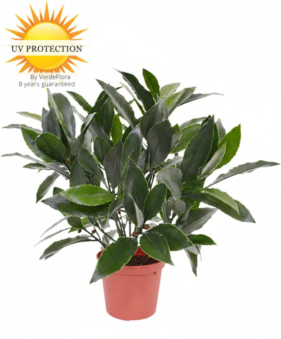 Kleine kunstmatige laurierplant in pot van 35 cm, UV-beschermd, geschikt voor buiten.