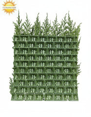 Luxe kunst Coniferen mat x77 tips voor wandbekleding UV-beschermd 