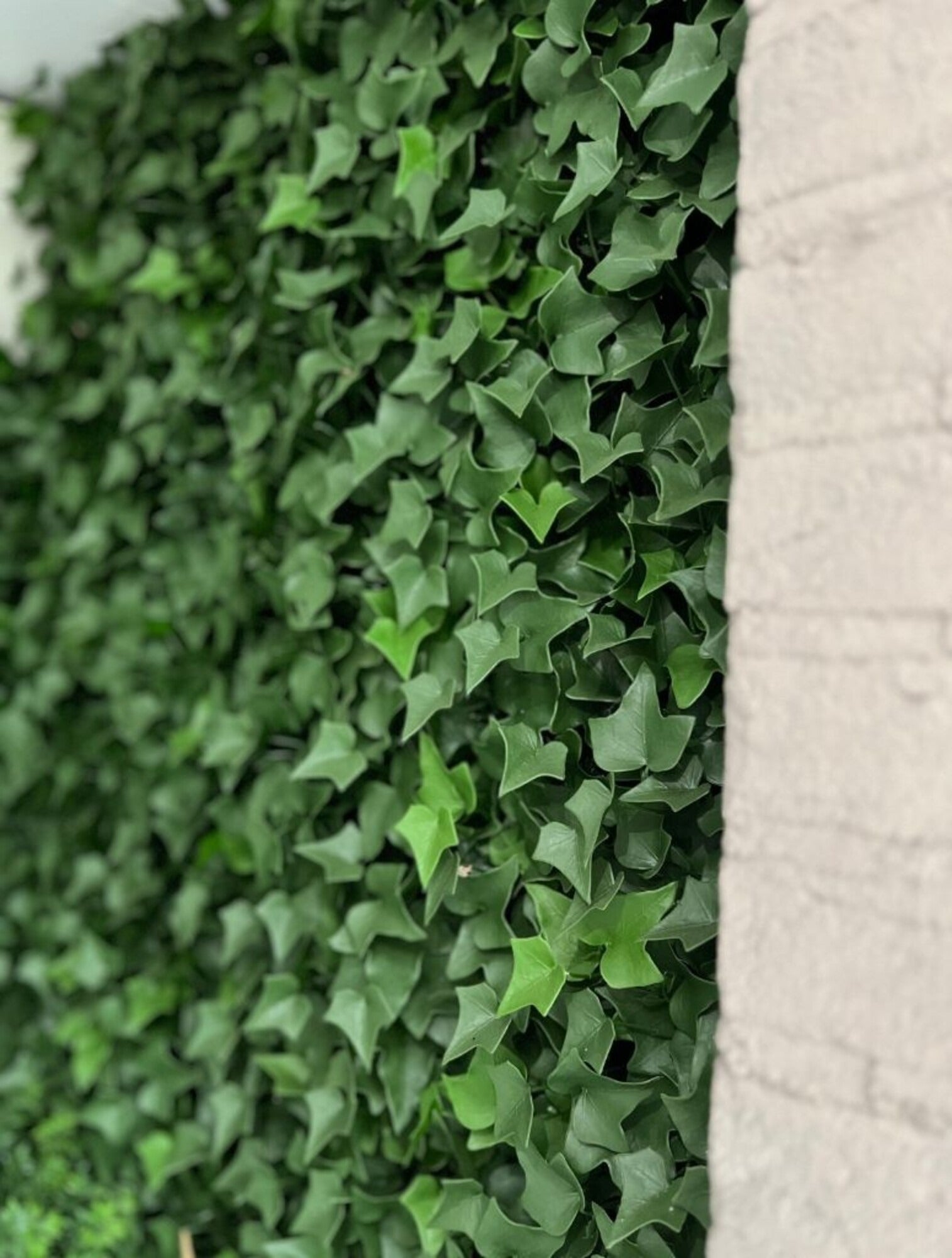 Kunst buiten klimopmat 25x25 cm UV beschermd 