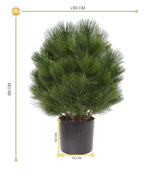 Kunstheester Pinus Den 60 cm UV