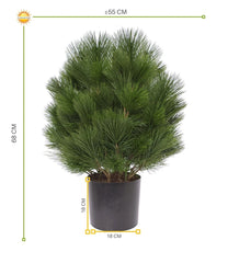 Kunstheester Pinus Den 60 cm UV