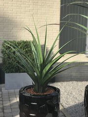 Kunst pandanus plant voor buiten 90 cm UV-bestendig 