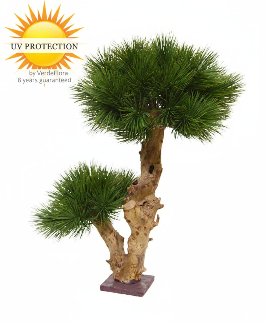 Kleine kunst Pinus Bonsai boom 55 cm UV voor buiten 