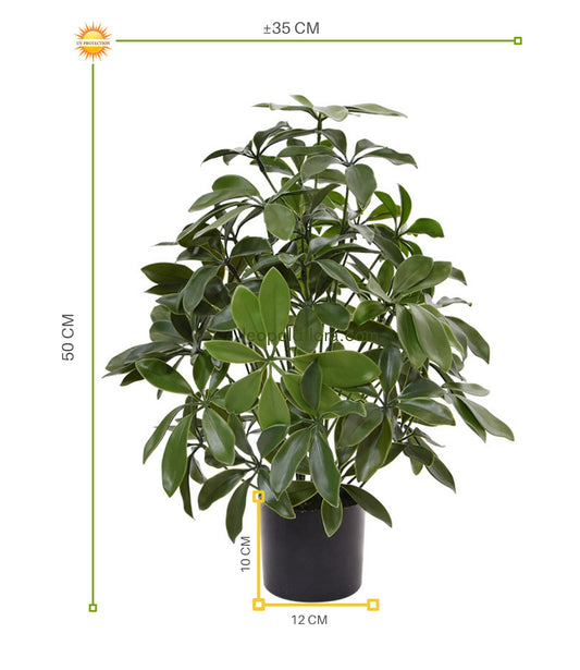 Kunstplant Schefflera voor buiten 50 cm met UV-bescherming 