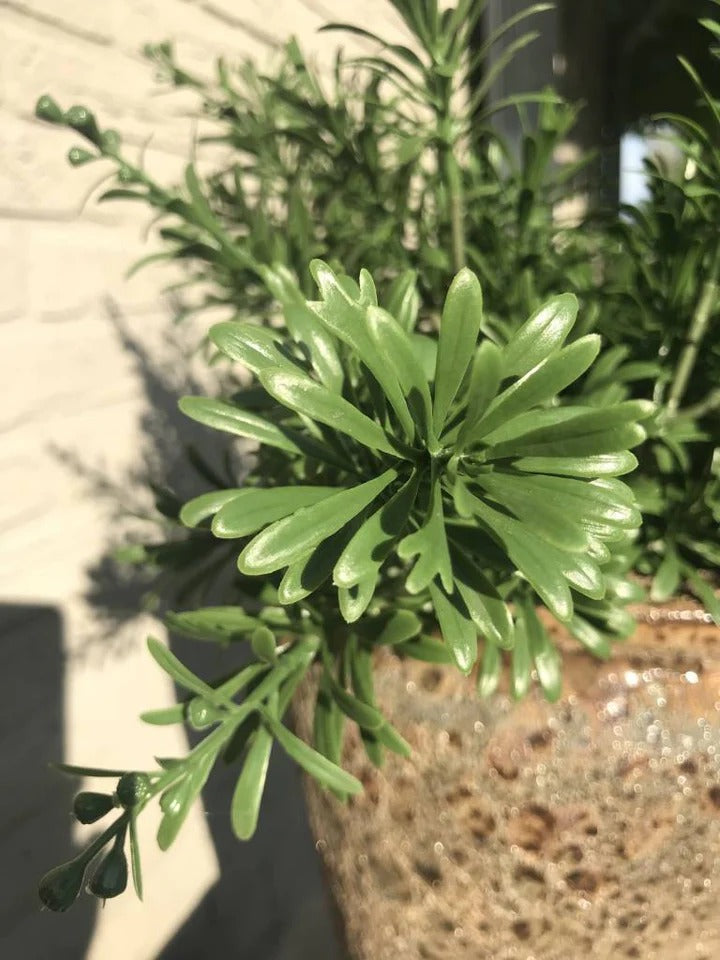 Crossostephium Kunsttak 45 cm UV 