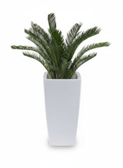 Buiten kunst Cycas Palm 80 cm UV beschermd