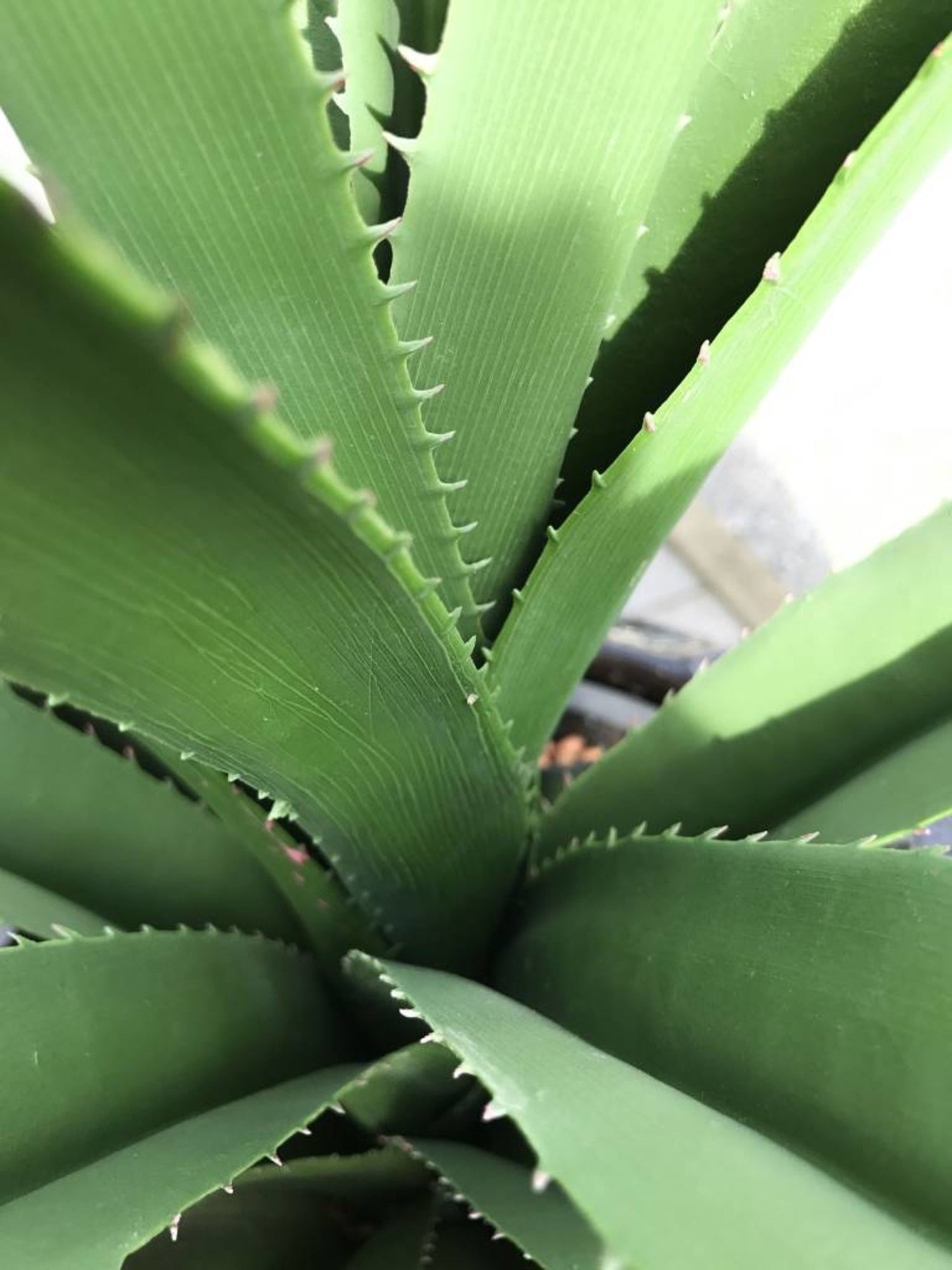 Kunstplant Pandanus voor buiten, 140 cm, UV-bestendig 