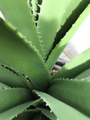 Kunstplant Pandanus voor buiten, 140 cm, UV-bestendig 